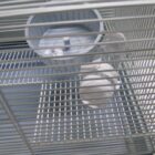 JAULA CON ACCESORIOS