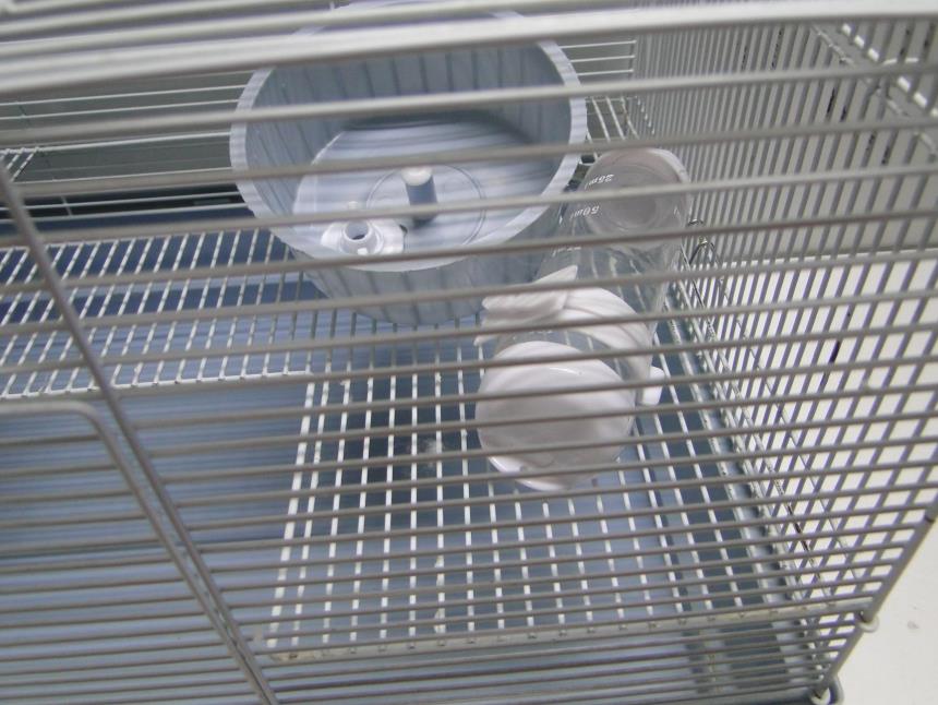 JAULA CON ACCESORIOS