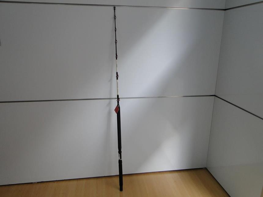 articulos_imagen1_175413.jpg CAÑA DE PESCAR SEMINUEVA