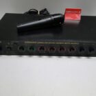 AMPLIFICADOR CON MICROFONO