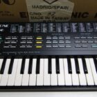 TECLADO MUSICAL CON CAJA