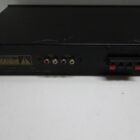 AMPLIFICADOR CON MICROFONO