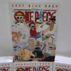 LIBRO DE COLECCION PERFECTO ESTADO *