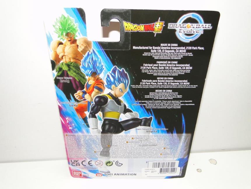 FIGURA VEGETA