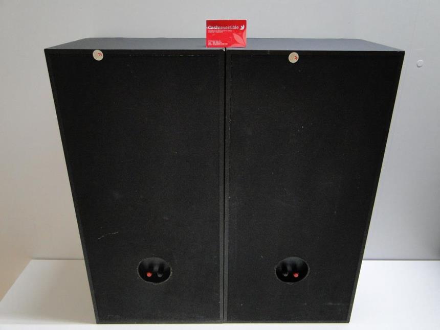 PAREJA ALTAVOCES VINTAGE