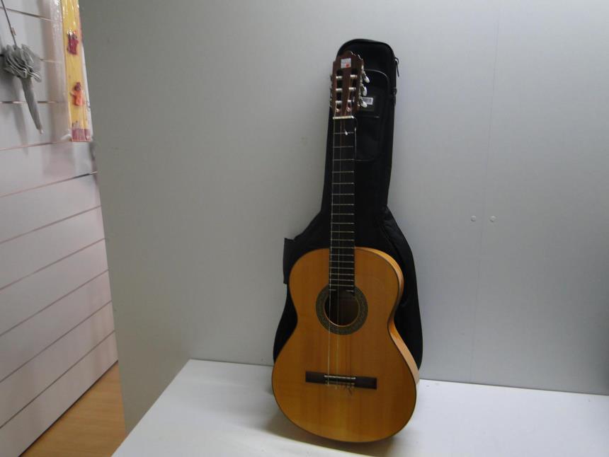 articulos_imagen1_169680-3.jpg GUITARRA CON FUNDA ACOLCHADA