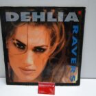 DISCO DE VINILO