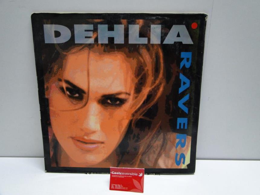 articulos_imagen1_180728.jpg DISCO DE VINILO