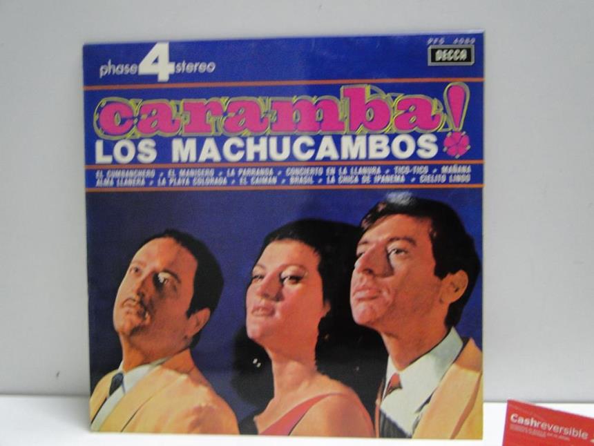 articulos_imagen1_181169.jpg DISCO VINILO