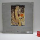 DISCO VINILO