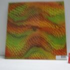 DISCO VINILO