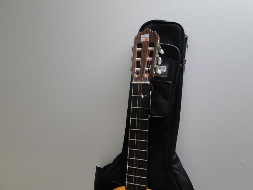 GUITARRA CON FUNDA ACOLCHADA