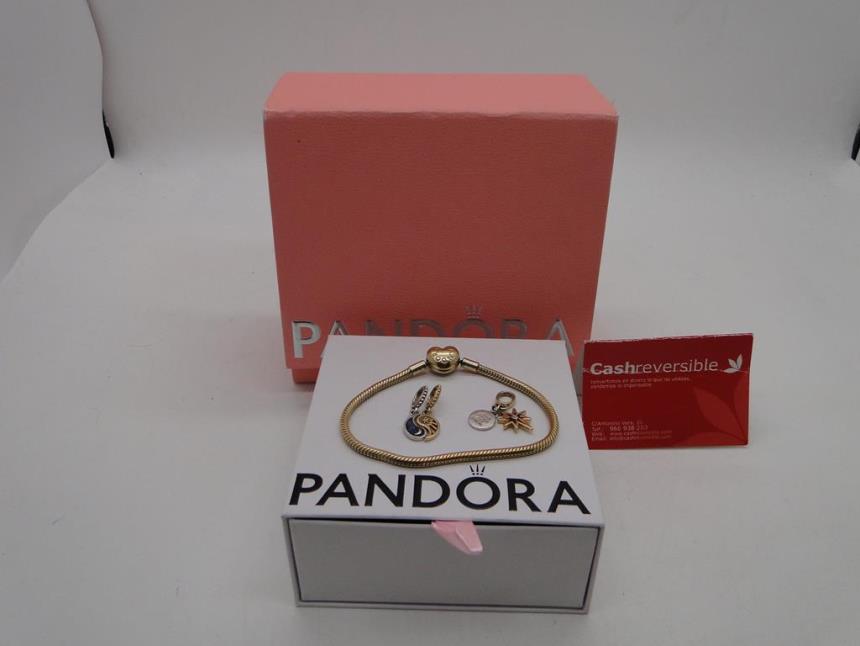 articulos_imagen1_175339.jpg PULSERA DE DISEÑO CON CAJA Y CHARMS