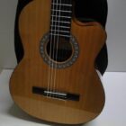 GUITARRA ELECTROACUSTICA CON FUNDA SEMINUEVA