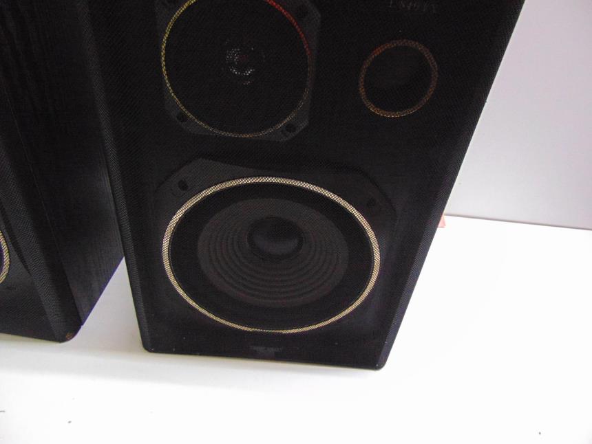 PAREJA ALTAVOCES
