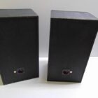 PAREJA ALTAVOCES